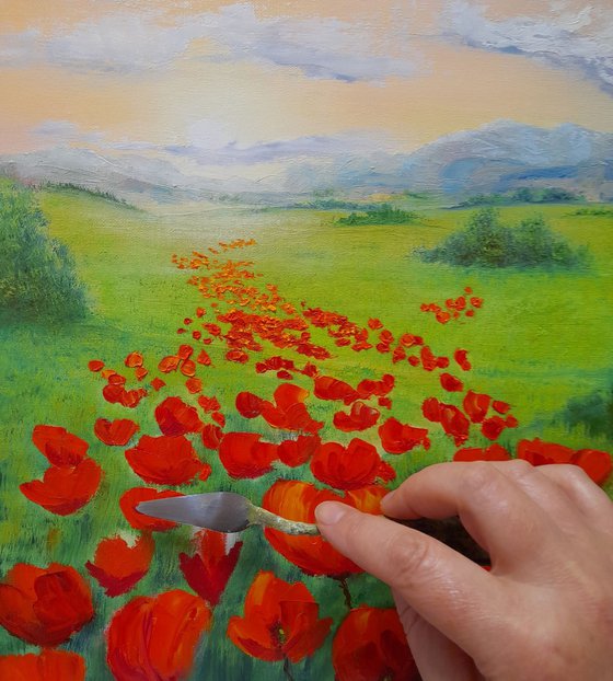 Poppy field by sunrise