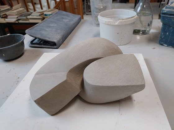 Bird feeding her young.