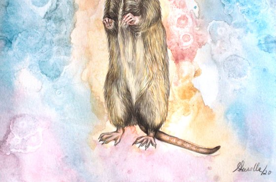 The rat: sacred animal.