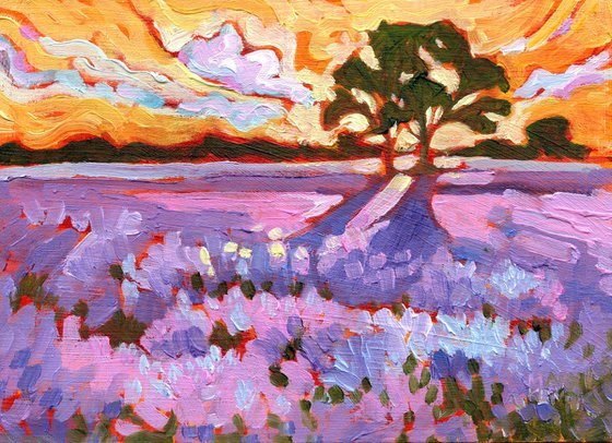 Lavender Sunrise - Miniature Landscape