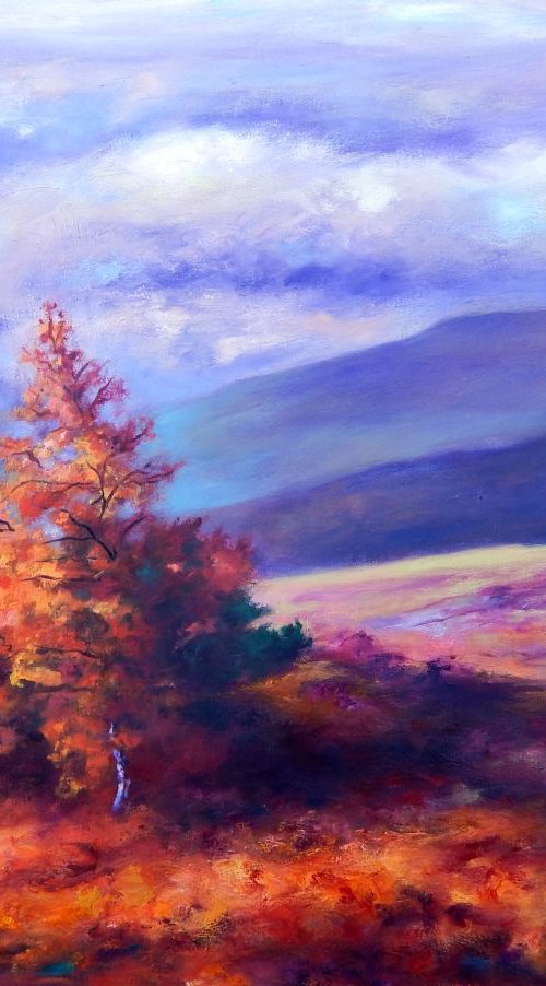 Autumn colours by Richard Freer