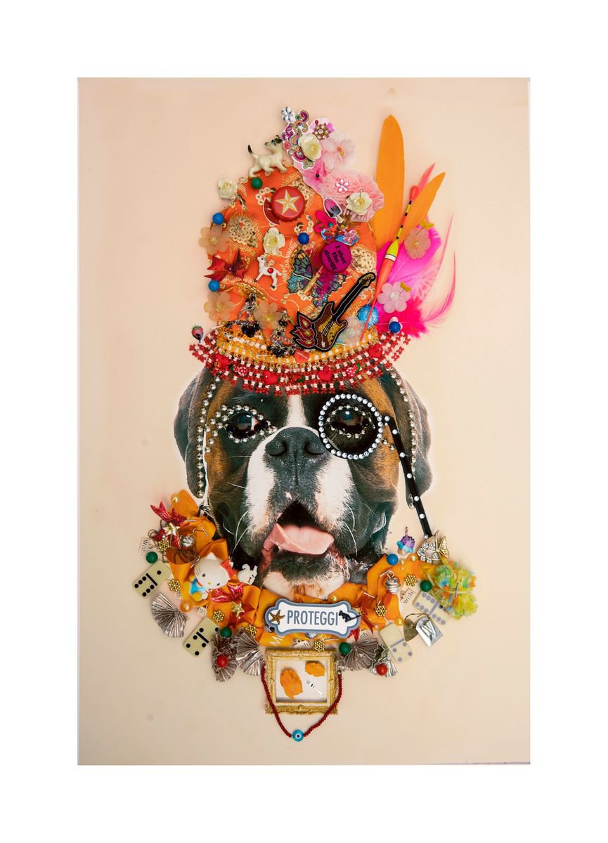 Urban And Pop Animal Photograph By B-Brown & Scheinmann, 22 X 30, Fiddler 2, Original Artwork