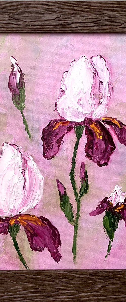 Lovely irises by Olga Kurbanova