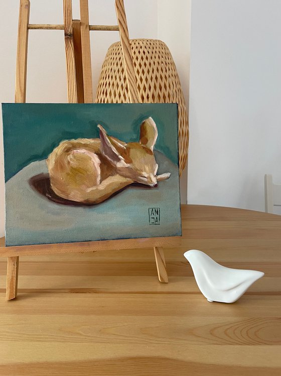 Fennec fox