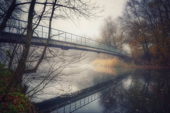 Foggy morning in the old park