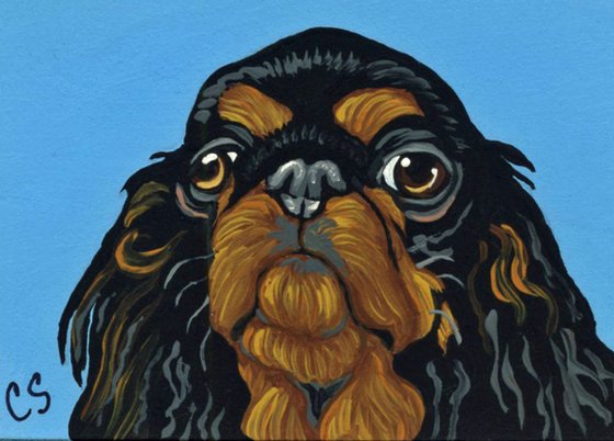 ACEO ATC Original Painting English Toy Spaniel Pet Dog Art-Carla Smale