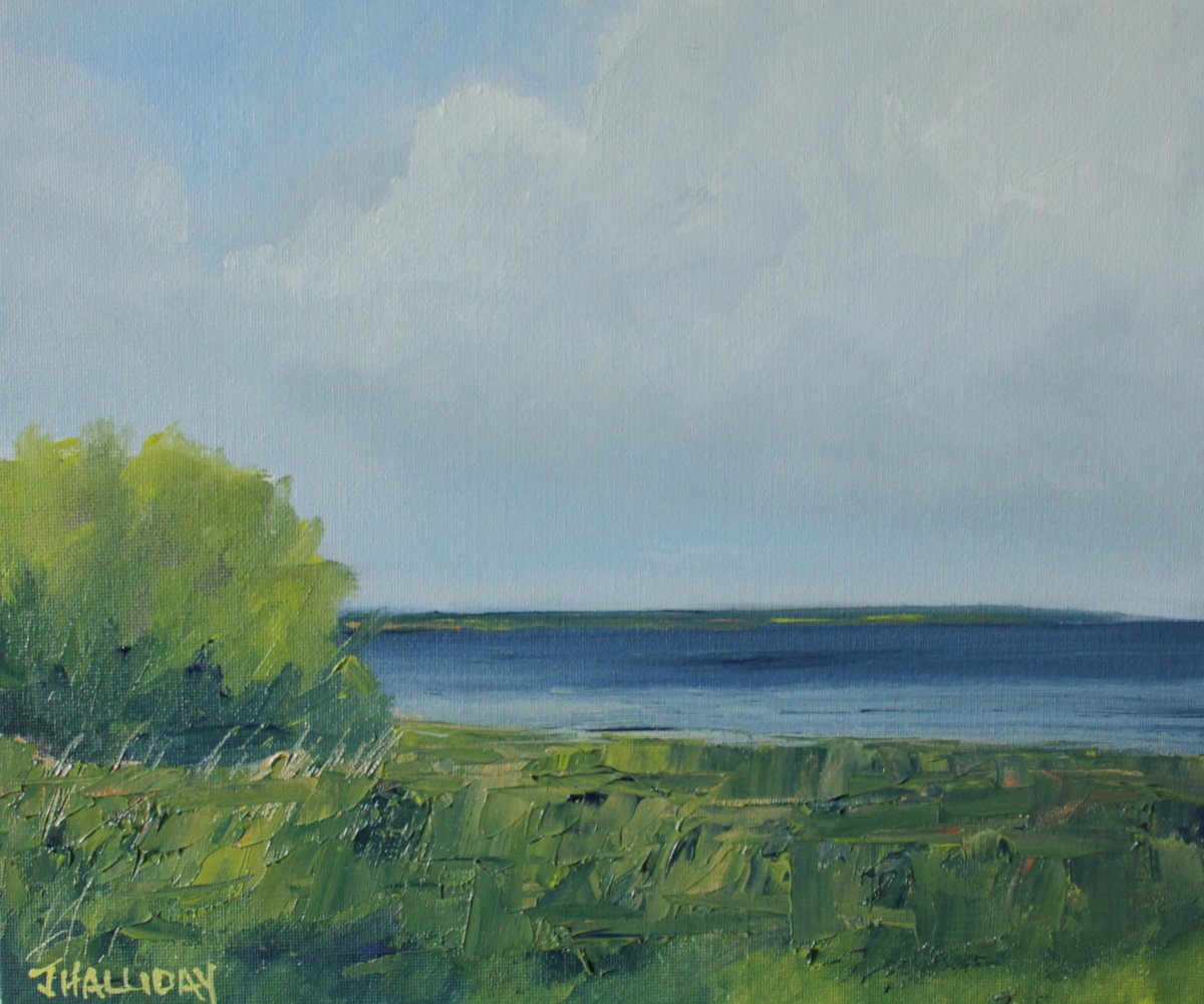 Changing light Lough Neagh by John Halliday