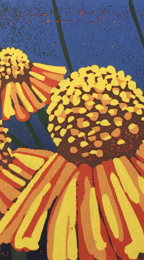 Daisies by Alexandra Buckle