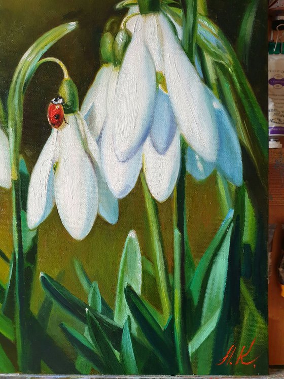 "Guest."  flower snowdrops ladybug  liGHt original painting  GIFT (2020)