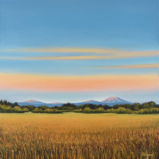 Distant Mountains - Blue Sky Golden Field Landscape