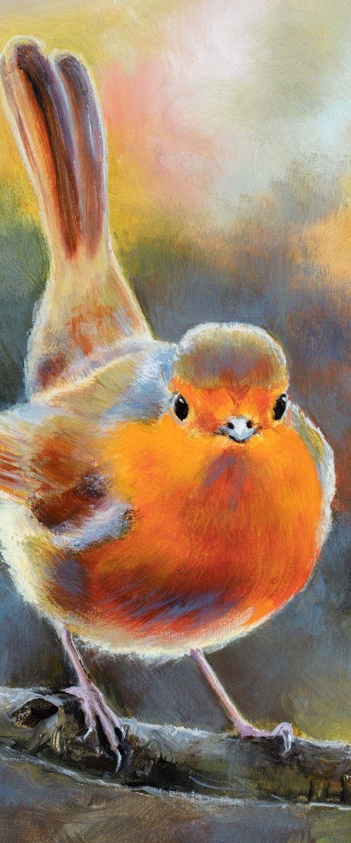 Little robin bird on a branch by Lucia Verdejo