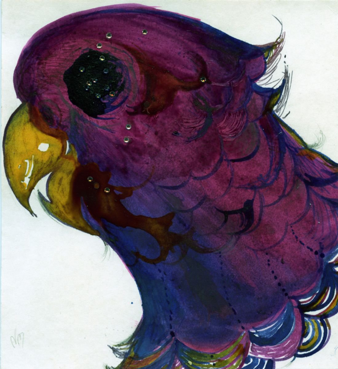Sparkly ink parrot by Nancy M Chara