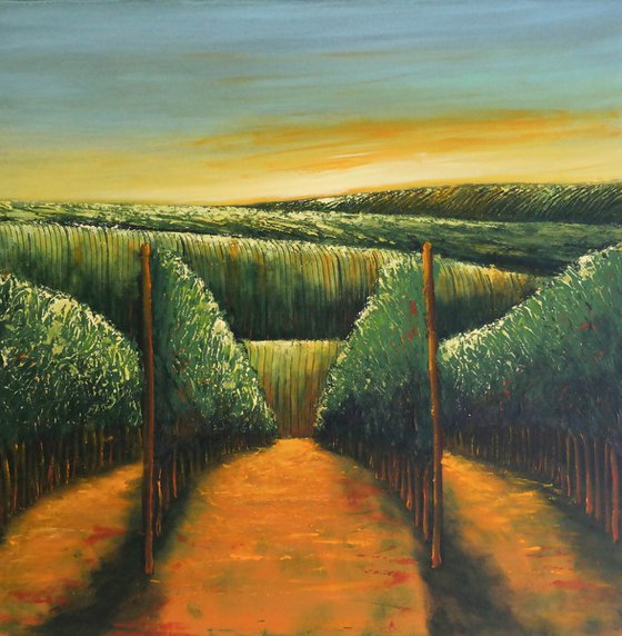 Sunrise over Vineyards -  Fields and Colors Series