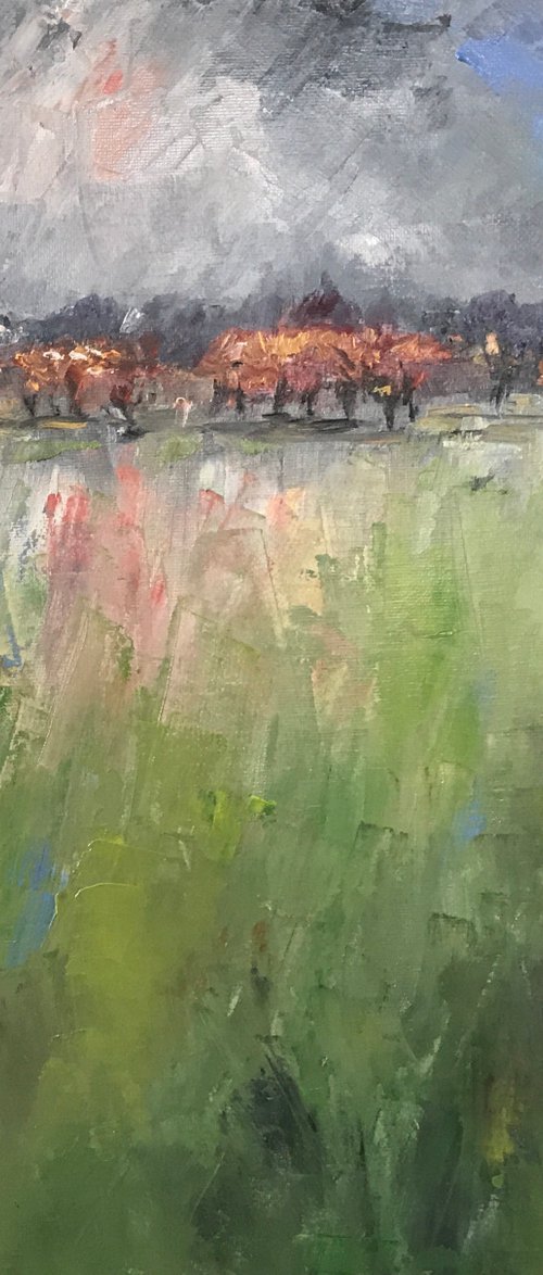 Stray View by Andrew Moodie
