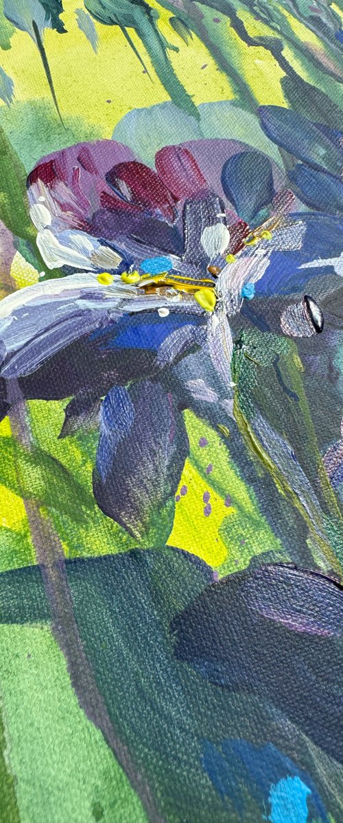 Irises flowers by Yevheniia Salamatina