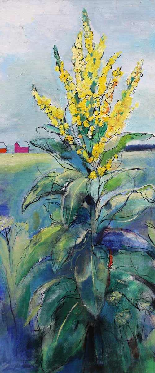 Verbascum by Artem Andreichuk