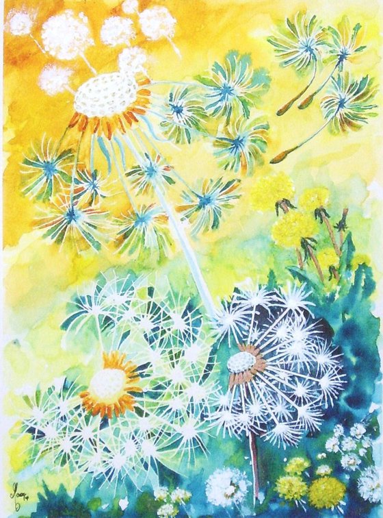 Dandelion Clocks 2