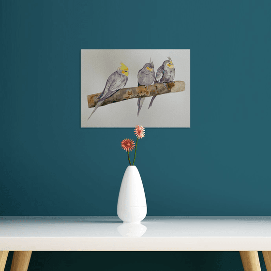 Cockatiel party