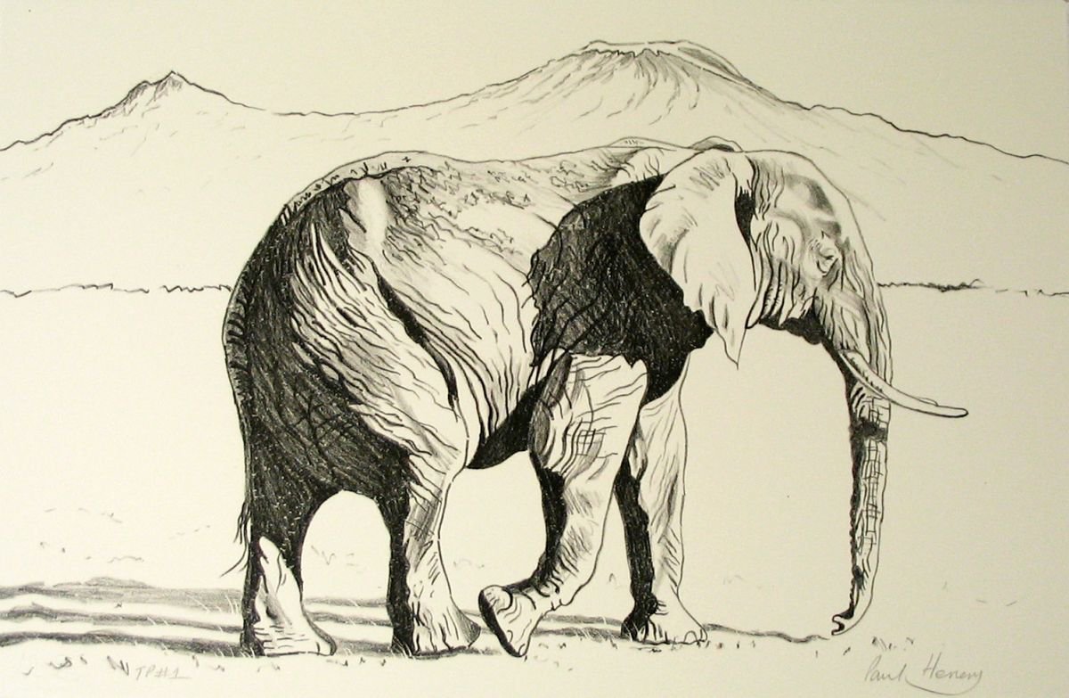 African Elephant, Mount Kilimanjaro by Paul Henery