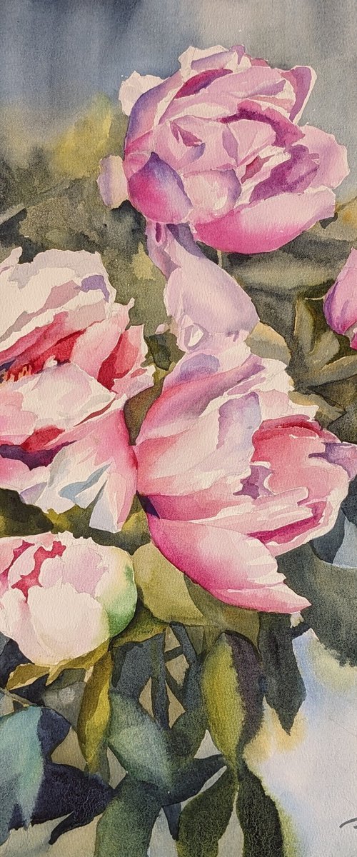 PINK PEONIES#5 by Yurii Pashkov