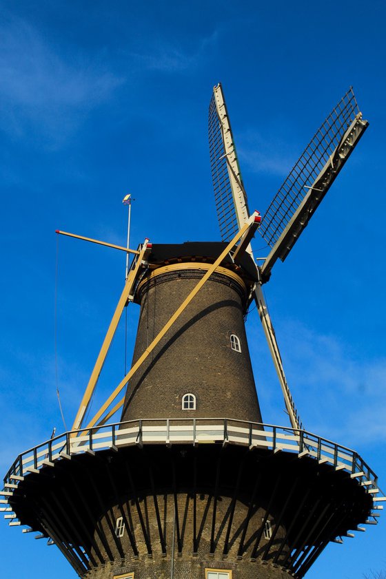 Dutch Windmill