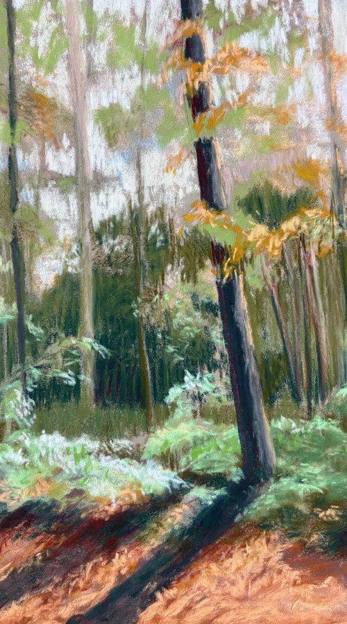 Autumn Shadows by Jo Lillywhite
