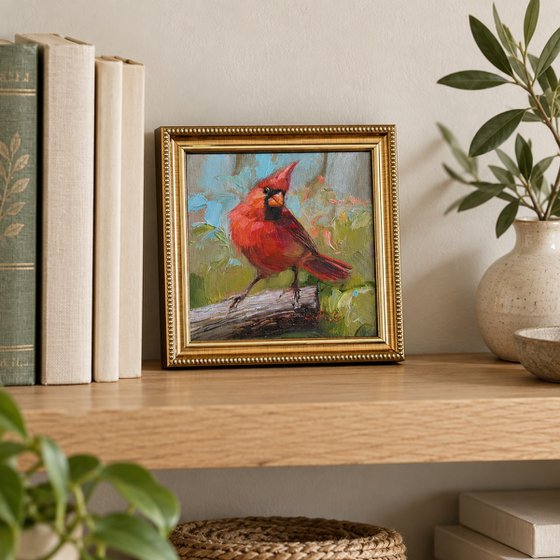Cardinal bird