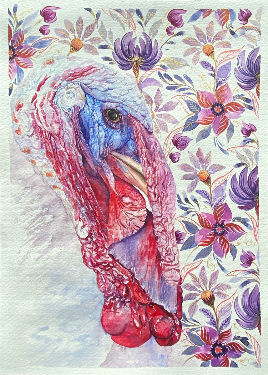 Photorealistic Animal Watercolour By Tetiana Savchenko, 12 X 17", Colorful Turkey, Original Artwork