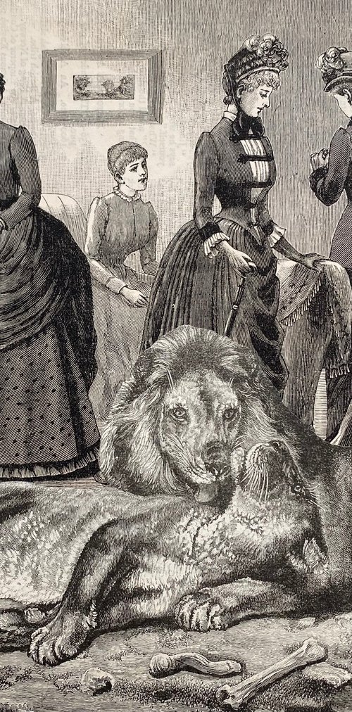 Mary and her lions by Tudor Evans