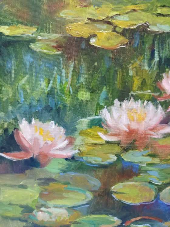 Water Lilies 60x40cm