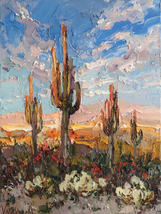 Cactus Desert at Sunset