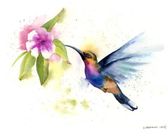 Hummingbird Original Watercolor Painting