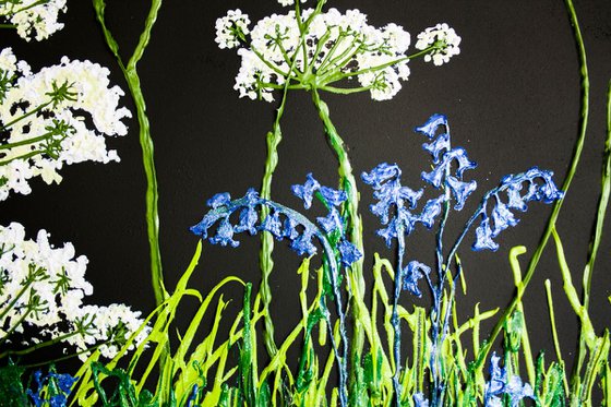 Cow Parsley and Bluebells