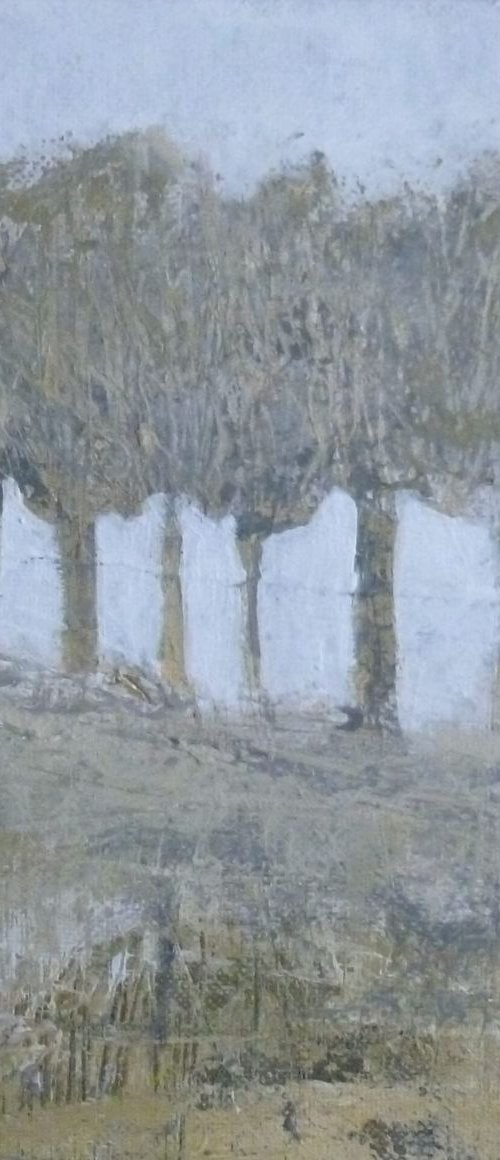 Winter Study no.4 by Fiona Philipps