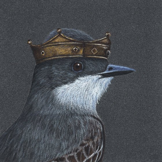 Original pastel drawing bird "Eastern kingbird"