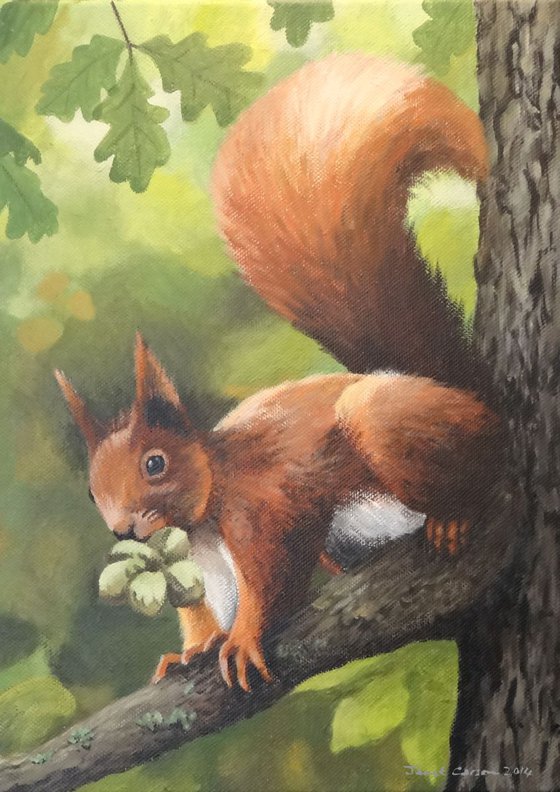 Nuts Oh Hazelnuts