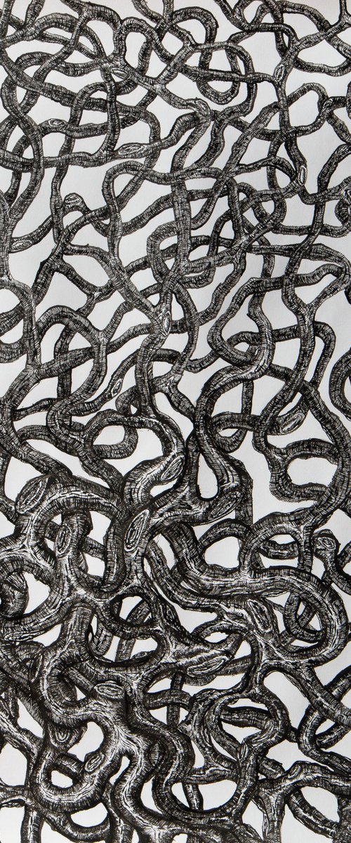 Entanglement by Stefan Fierros