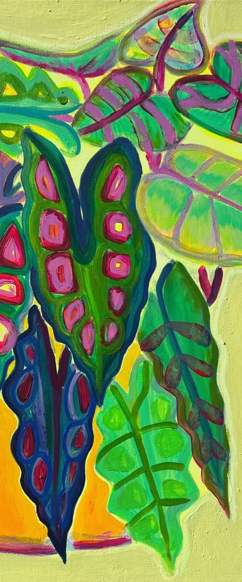 Alocasia Study IV by Kathryn Sillince