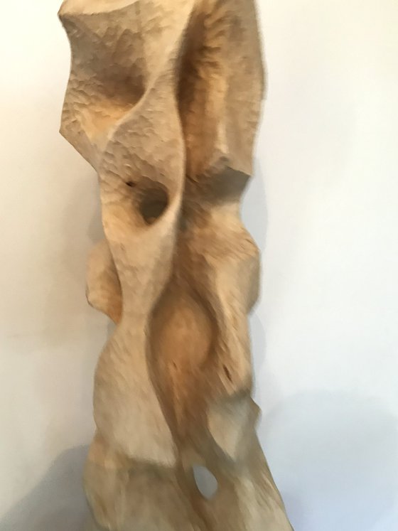 Betula