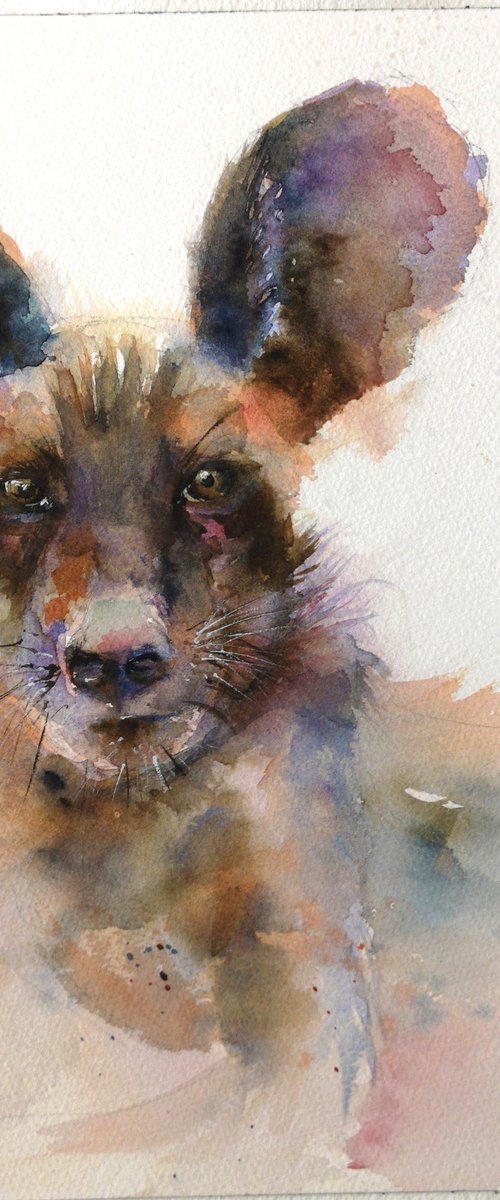 Hyena portrait by Olga Tchefranov (Shefranov)
