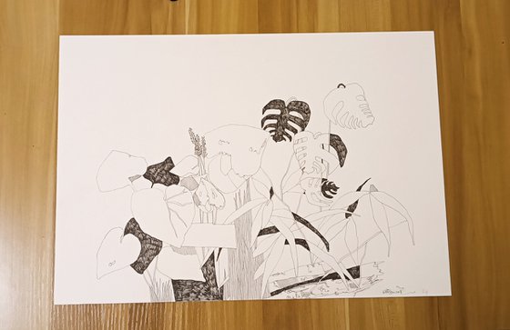 draw 4.0