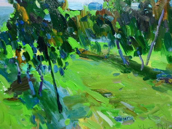 "  Vineyards "