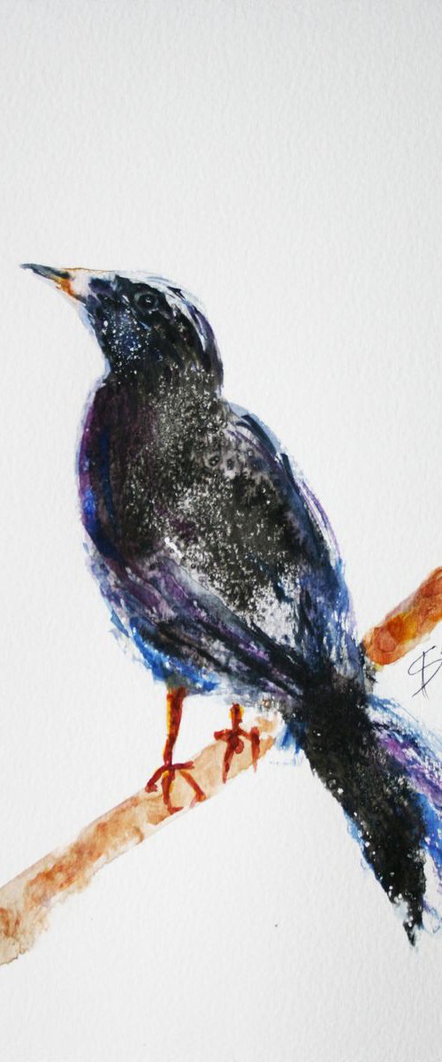 Bird 02  / Original Painting by Salana Art Gallery