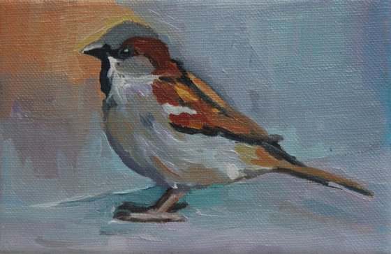 Sparrow #2