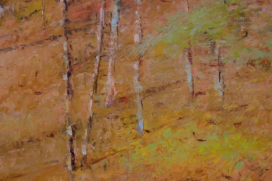 Forest 1.