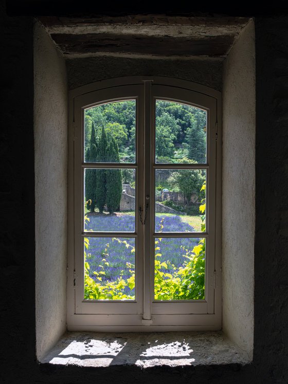 GLIMPSES OF FLOWERING