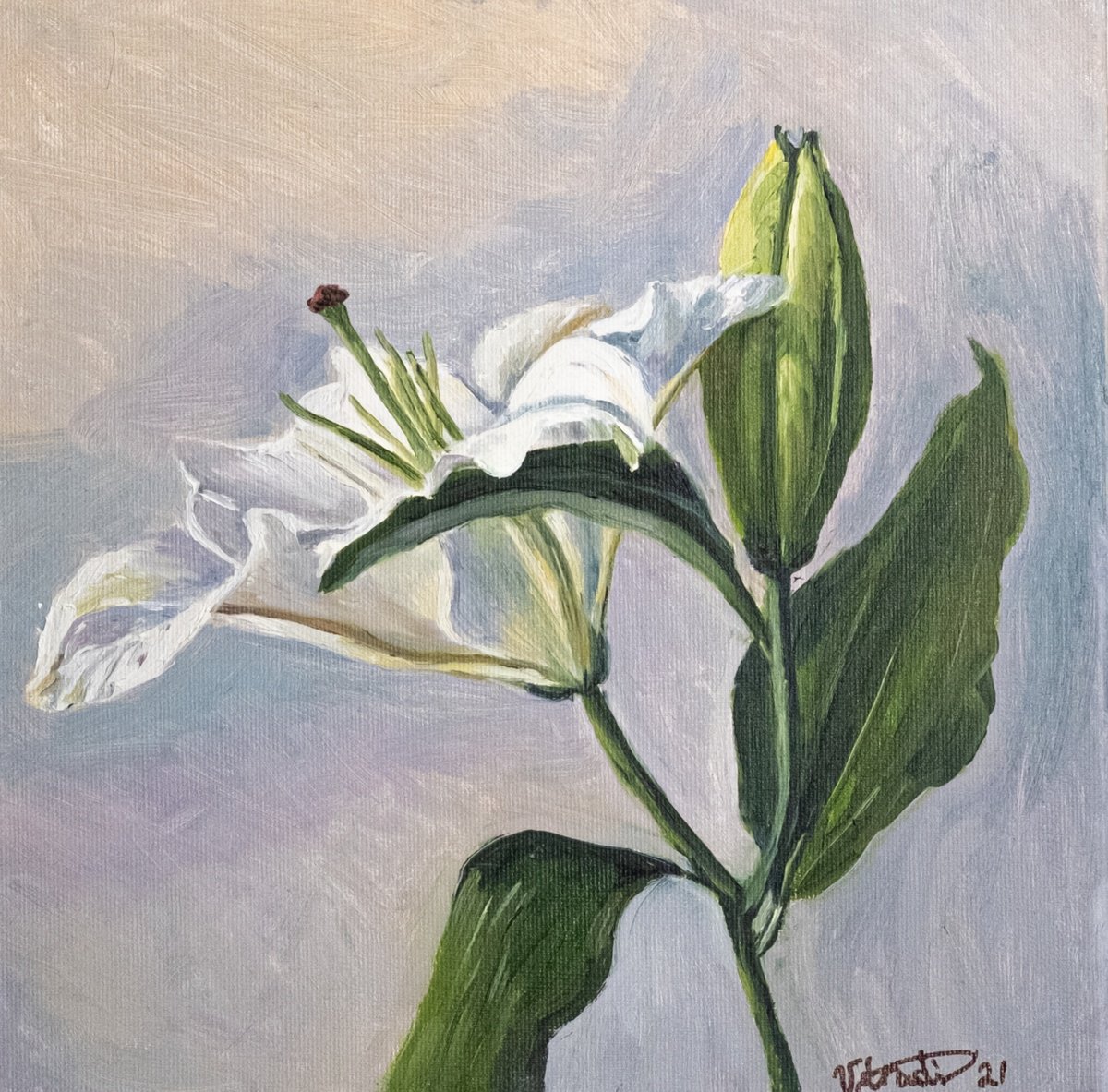 The Flower by Catherine Varadi