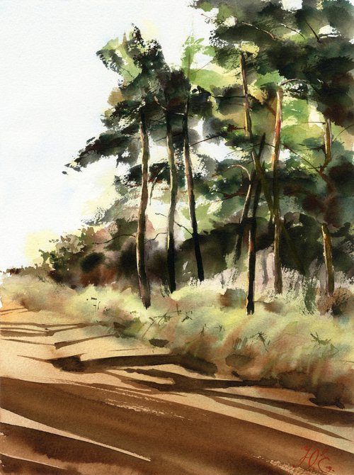 Watercolor pine forest in sunlight, Nature and shadows by Yulia Evsyukova