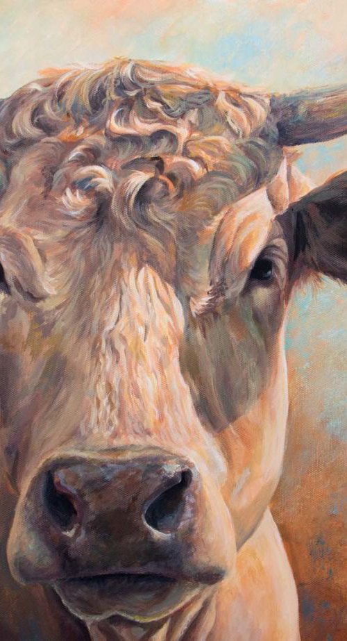 Brodie by Ruth  Aslett