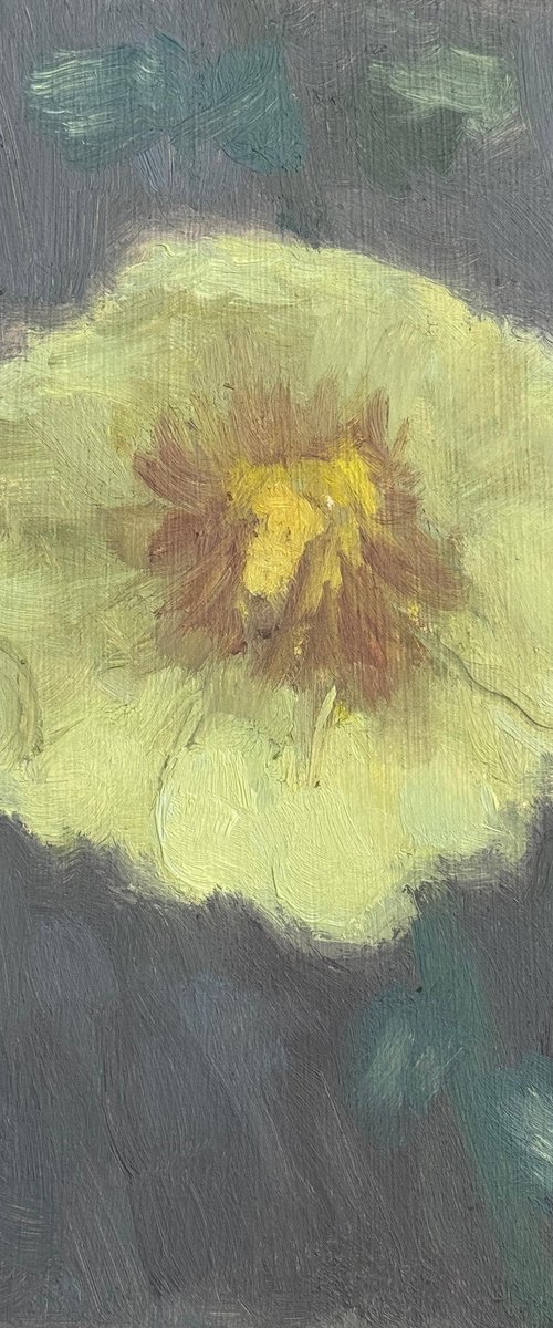 Yellow Hollyhock Still Life by Alex James Long